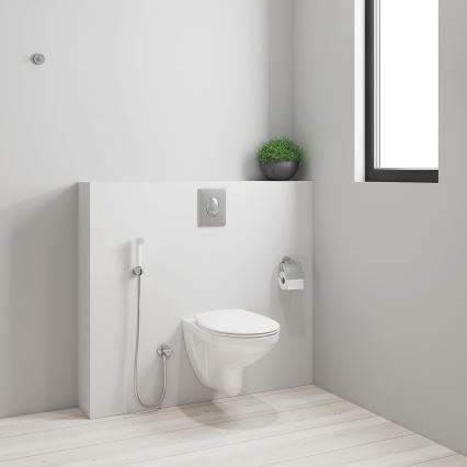 GROHE 26356IL0 - Duș de bideu manual TEMPESTA-F 30 1250 mm alb
