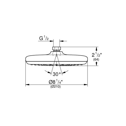 GROHE 26410000 - Cap de duș TEMPESTA 210 mm, crom lucios