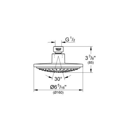 GROHE 28233000 - Cap de duș EUPHORIA COSMOPOLITAN 160, crom lucios