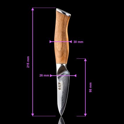 Gudaro - Cuțit de bucătărie damasc TAKUMI 3,5, 67 de straturi de oțel, lamă 9,5 cm, mâner din nuc