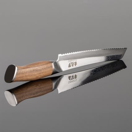 Gudaro - Cuțit pentru pâine TAKUMI 8, din oțel Damasc, 67 de straturi, lungime 20 cm, mâner din nuc