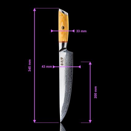 Gudaro - Cuțit de porționat Damasc HIKARI 20 cm (8), 67 de straturi de oțel