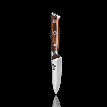 Gudaro - SET 1x cuțit de bucătar din oțel damasc FENG 8, 67 de straturi, lungime 20 cm + 1x cuțit santoku din oțel damasc FENG 7,5, 67 de straturi, lungime 18 cm + 1x CADOU cuțit de bucătărie din oțel damasc FENG 3,5, 67 de straturi, lungime 9,5 c