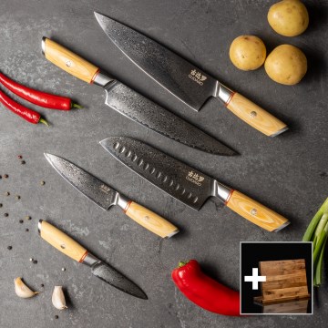 Gudaro - Set de 5 cuțite de bucătărie din oțel damasc HIKARI + suport magnetic