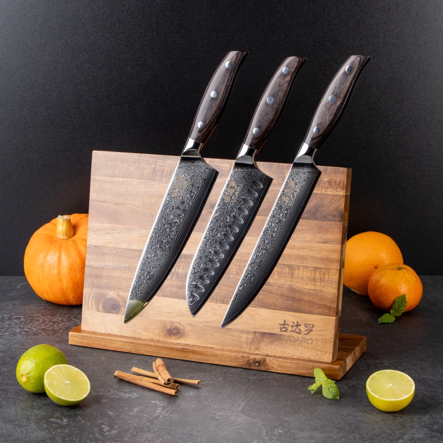 Gudaro - Set de 5 cuțite de bucătărie din oțel damasc SHIRO + suport magnetic