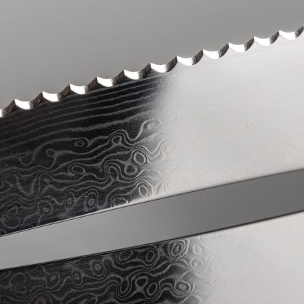 Gudaro - Set de 5 cuțite de bucătărie din oțel Damasc TAKUMI + suport magnetic