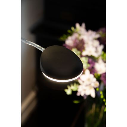 Halo Design 716067 - Lampă de podea LED cu dimmer VEGAS LED/20W/230V + LED/5W negru/crom lucios