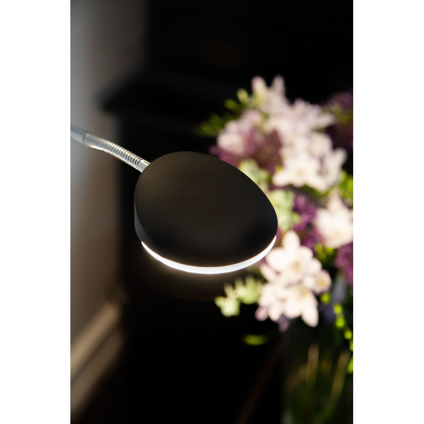 Halo Design 716067 - Lampă de podea LED cu dimmer VEGAS LED/20W/230V + LED/5W negru/crom lucios