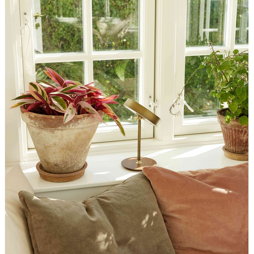 Halo Design 745784 - Lampă LED de masă reîncărcabilă, reglabilă ON THE MOVE LED/2,5 W/4000 mAh alamă/lemn