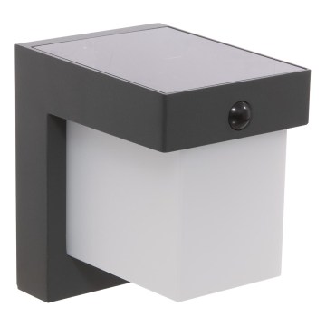 Hesperide - Lampă solară de perete LED cu senzor de mișcare și de amurg MULTY LED/3,7V 2600 mAh IP65 antracit