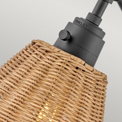 Hinkley - Aplică de perete cu spot ARTI 1xE27/60W/230V negru/maro