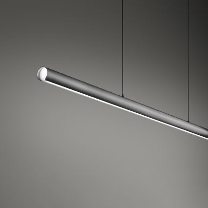 Ideal Lux - Lustră LED reglabilă pe cablu DORICA LED/35W/230V CRI 90 140 cm gri