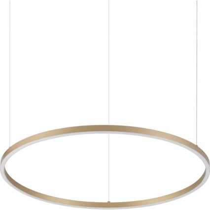 Ideal Lux - Lustră LED suspendată pe cablu ORACLE SLIM LED/37W/230V 3000K CRI 90, diam. 70 cm, auriu