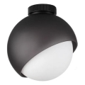 Ideal Lux - Plafonieră BLOOM 1xE27/42W/230V, Ø 22 cm, neagră