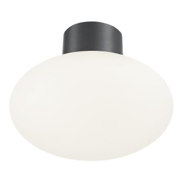 Ideal Lux - Plafonieră de exterior CLIO 1xE27/42W/230V IP44 antracit
