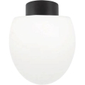 Ideal Lux - Plafonieră de exterior CLIO 1xE27/42W/230V IP44 neagră