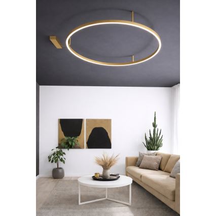 Ideal Lux - Plafonieră LED ORACLE SLIM, 37 W, 230 V, 3000 K, CRI 90, Ø 70 cm, finisaj auriu