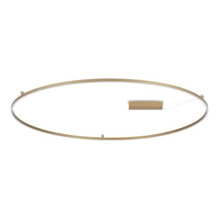 Ideal Lux - Plafonieră LED ORACLE SLIM, 81 W, 230 V, 3000 K, CRI 90, Ø 150 cm, auriu