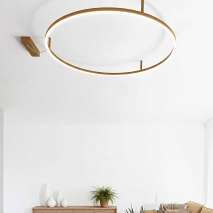 Ideal Lux - Plafonieră LED ORACLE SLIM, 37 W, 230 V, 3000 K, CRI 90, Ø 70 cm, auriu