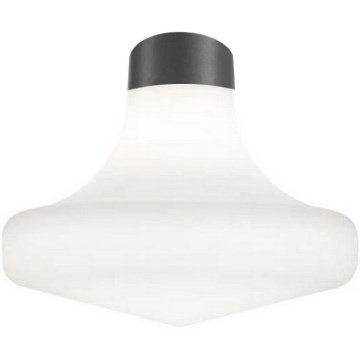 Ideal Lux - Plafonieră pentru exterior CLIO, 1xE27, 42W, 230V, IP44, antracit