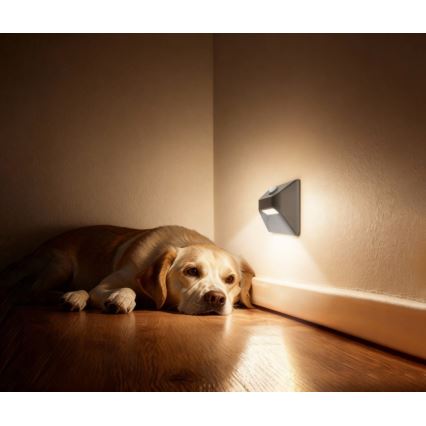 Immax 08309L - Lumină LED reîncărcabilă pentru trepte STEP LIGHT cu senzor de mișcare și senzor de amurg LED/0,3 W/3,7 V 2200 mAh IP53 gri