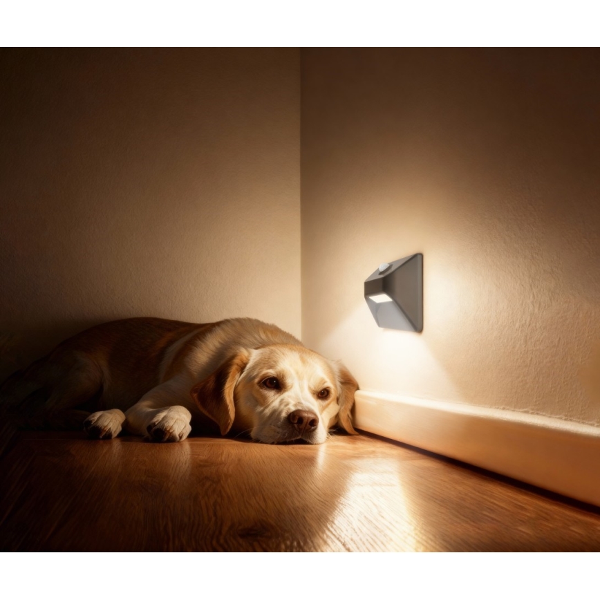 Immax 08309L - Lumină LED reîncărcabilă pentru trepte STEP LIGHT cu senzor de mișcare și senzor de amurg LED/0,3 W/3,7 V 2200 mAh IP53 gri