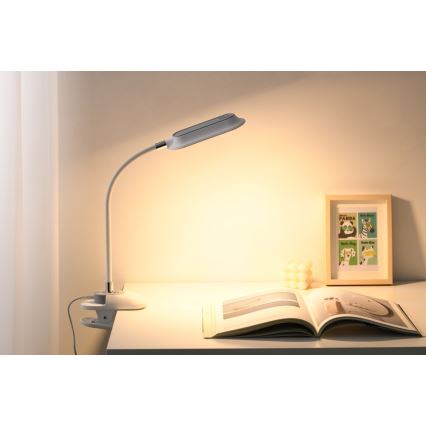 Lampă de birou LED+CCT dimmabilă cu clemă CLIP LED/7,5W/230V 3000/4200/5000K albă