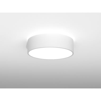 Immax NEO RONDATE - LED Plafonieră cu telecomandă LED/25W/230V