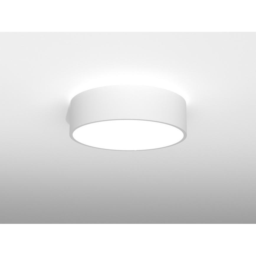 Immax NEO RONDATE - LED Plafonieră cu telecomandă LED/25W/230V