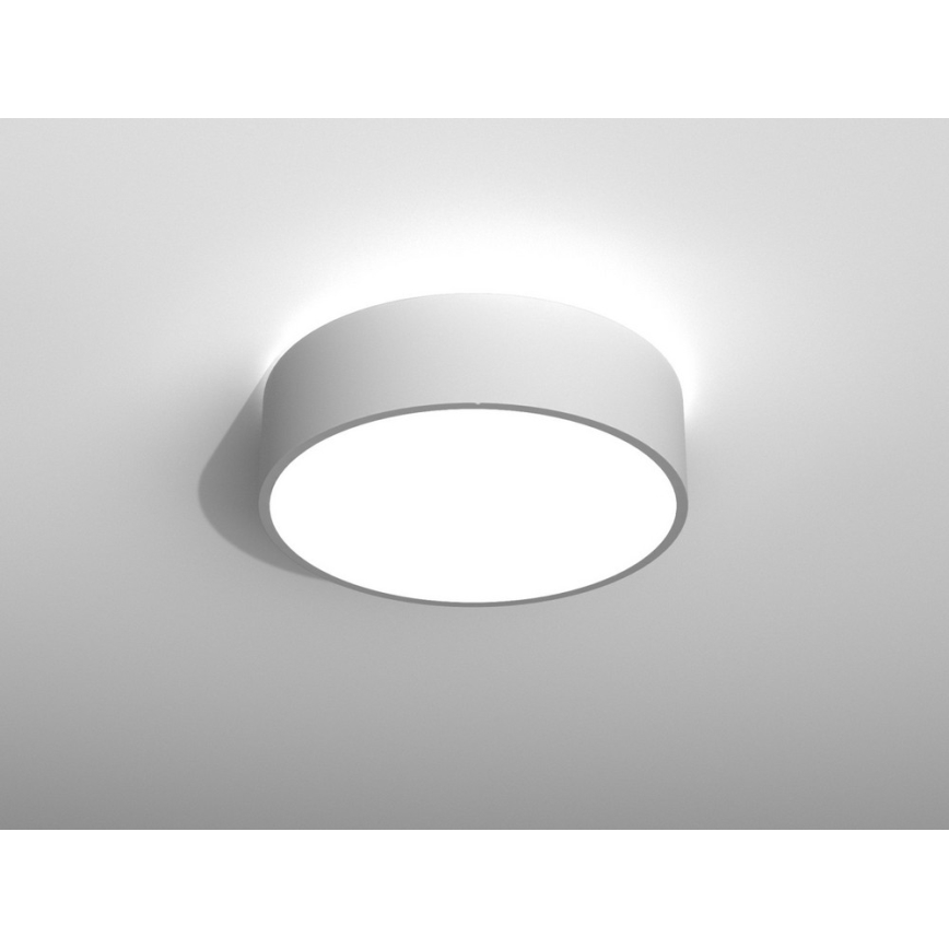 Immax NEO RONDATE - LED Plafonieră cu telecomandă LED/25W/230V
