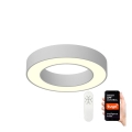 Immax NEO 07095L - Plafonier LED dimabil PASTEL LED/52W/230V 60 cm Tuya + telecomandă