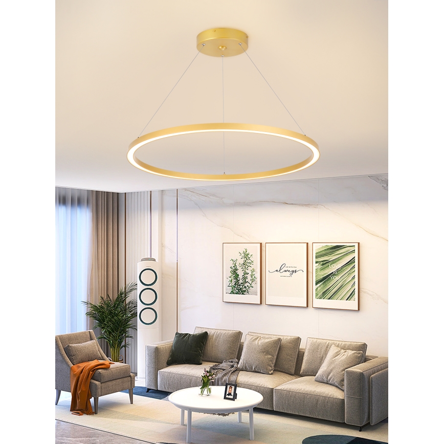 Immax NEO 07159-G80 - Candelabru LED dimabil pe cablu FINO LED/60W/230V Tuya auriu + telecomandă