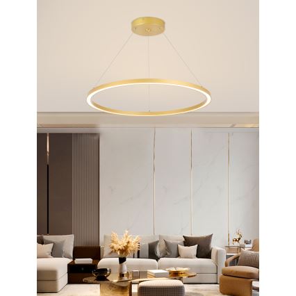 Immax NEO 07159-G80 - Candelabru LED dimabil pe cablu FINO LED/60W/230V Tuya auriu + telecomandă
