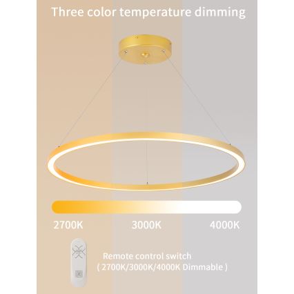Immax NEO 07159-G80 - Candelabru LED dimabil pe cablu FINO LED/60W/230V Tuya auriu + telecomandă