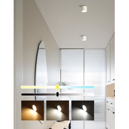 Immax NEO 07241L RONDATE - Plafonieră LED dimabilă, 18W/230V, 11,5 cm, Wi-Fi Tuya