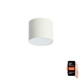 Immax NEO 07241L RONDATE - Plafonieră LED dimabilă, 18W/230V, 11,5 cm, Wi-Fi Tuya