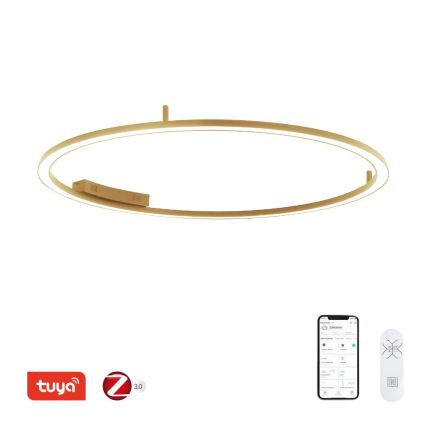 Immax NEO FINO 07290-120G - Plafonieră LED CCT dimmabilă, 55W, 230V, 2700-6500K, Ø 120 cm, Tuya + telecomandă