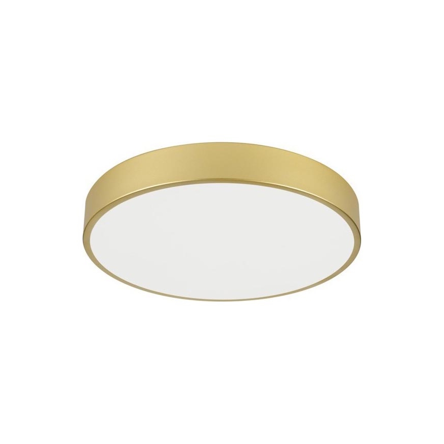 Immax NEO 07292L – Plafonieră LED reglabilă NEO LITE SEMPLICI, 36W, 230V, 3000–6000K, Ø 40 cm, Wi‑Fi Tuya, auriu + telecomandă