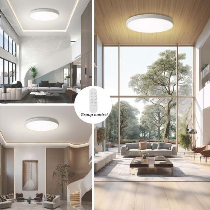 Immax NEO 07316L - Plafonieră LED dimabilă SEMPLICI LED/128W/230V, diam. 100 cm, Wi‑Fi Tuya, albă + telecomandă