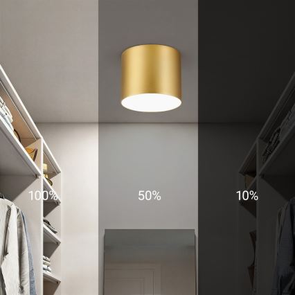 Immax NEO 07317L - Plafonieră LED dimabilă RONDATE LED/18W/230V Ø 11,5 cm Wi‑Fi Tuya aurie