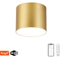 Immax NEO 07317L - Plafonieră LED dimabilă RONDATE LED/18W/230V Ø 11,5 cm Wi‑Fi Tuya aurie