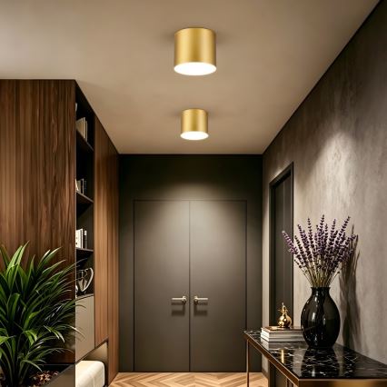 Immax NEO 07318L - Lampă de tavan LED dimabilă RONDATE LED/32W/230V Ø 16,5 cm Wi-Fi Tuya auriu