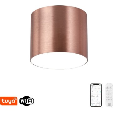 Immax NEO 07319L - plafonier LED dimabil RONDATE LED/18W/230V, diametru 11,5 cm, Wi-Fi Tuya, roz auriu