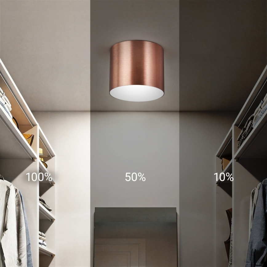 Immax NEO 07319L - plafonier LED dimabil RONDATE LED/18W/230V, diametru 11,5 cm, Wi-Fi Tuya, roz auriu