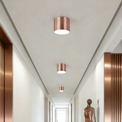 Immax NEO 07319L - plafonier LED dimabil RONDATE LED/18W/230V, diametru 11,5 cm, Wi-Fi Tuya, roz auriu