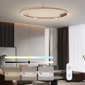 Immax NEO 07325-120C - Plafonieră LED reglabilă FINO LED/72W/230V 120 cm Tuya aur roz + telecomandă