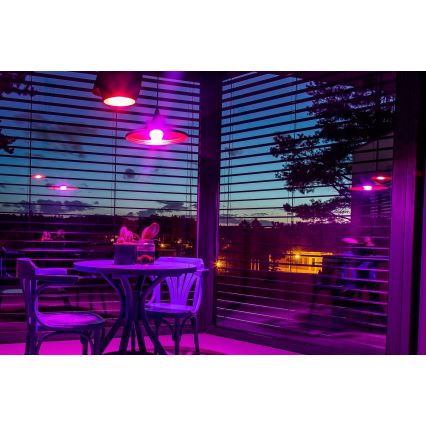 Immax NEO 07745CDO - SET 3x becuri LED RGB+CCT dimabile E14/6W/230V Wi‑Fi + telecomandă