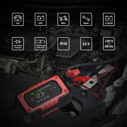 Încărcător pentru acumulatori 90W/230V