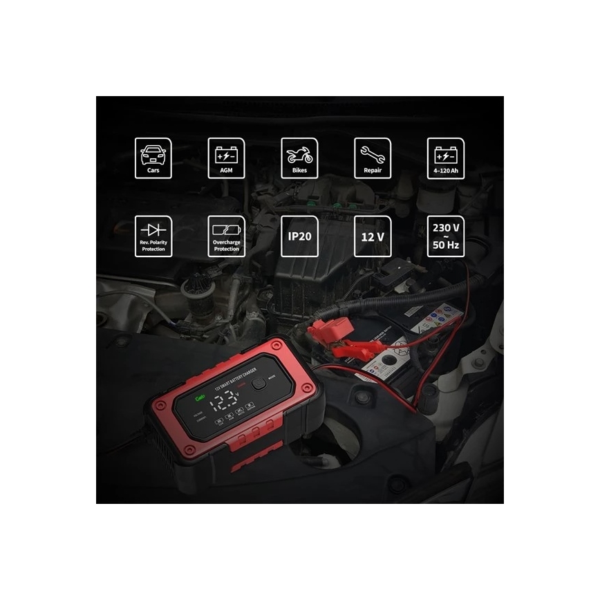Încărcător pentru acumulatori 90W/230V