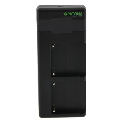 Încărcător rapid Dual Sony F550/F750/F970/FM50 + cablu USB-C 0,6m PATONA